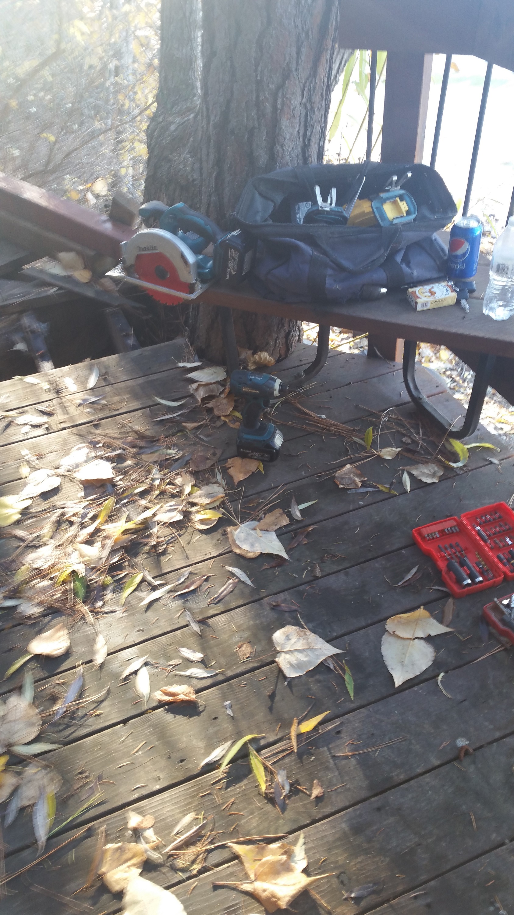 Lake Access Deck, Dock & Diving