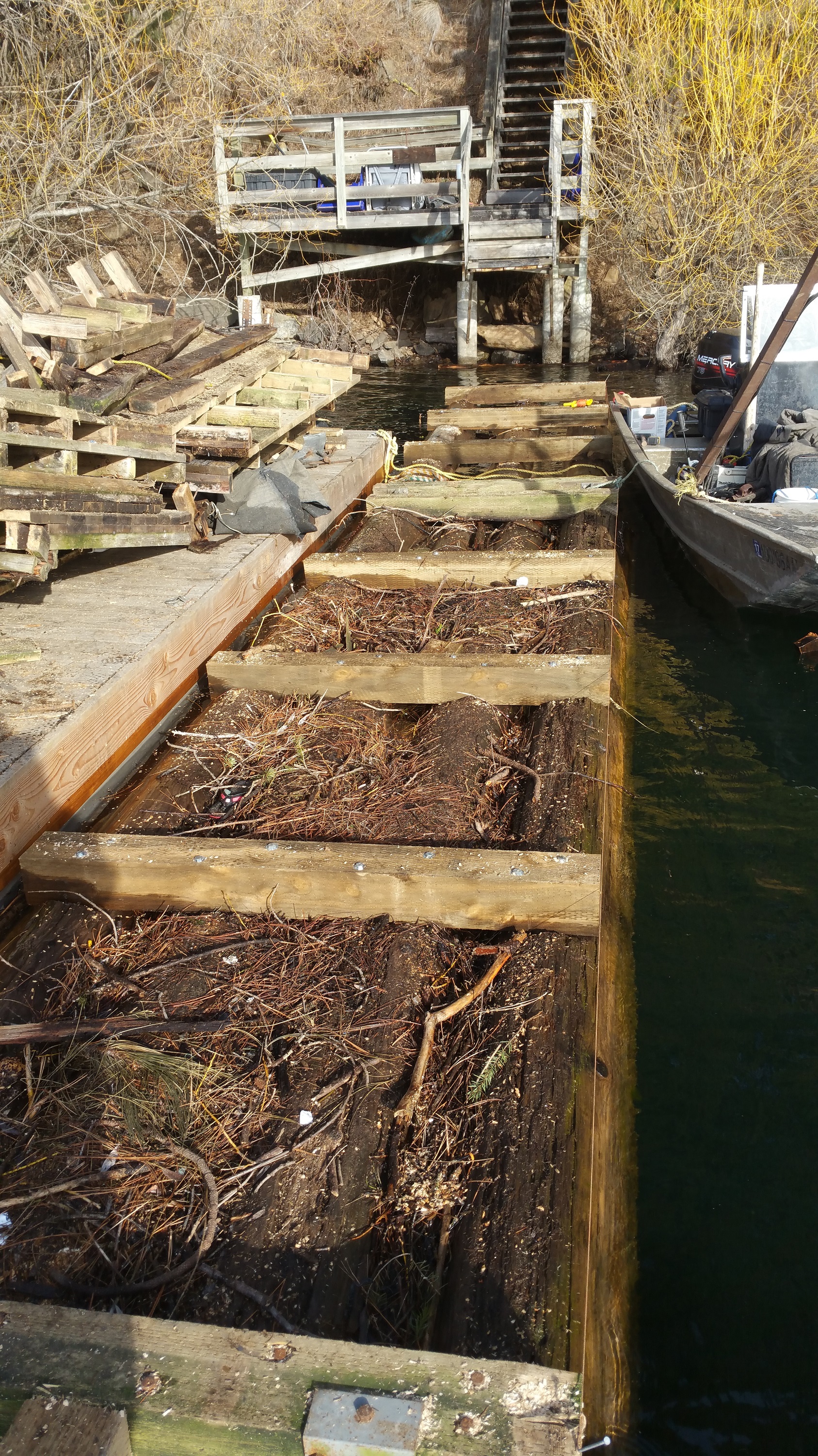 Cedar-Float-Log-T-Dock